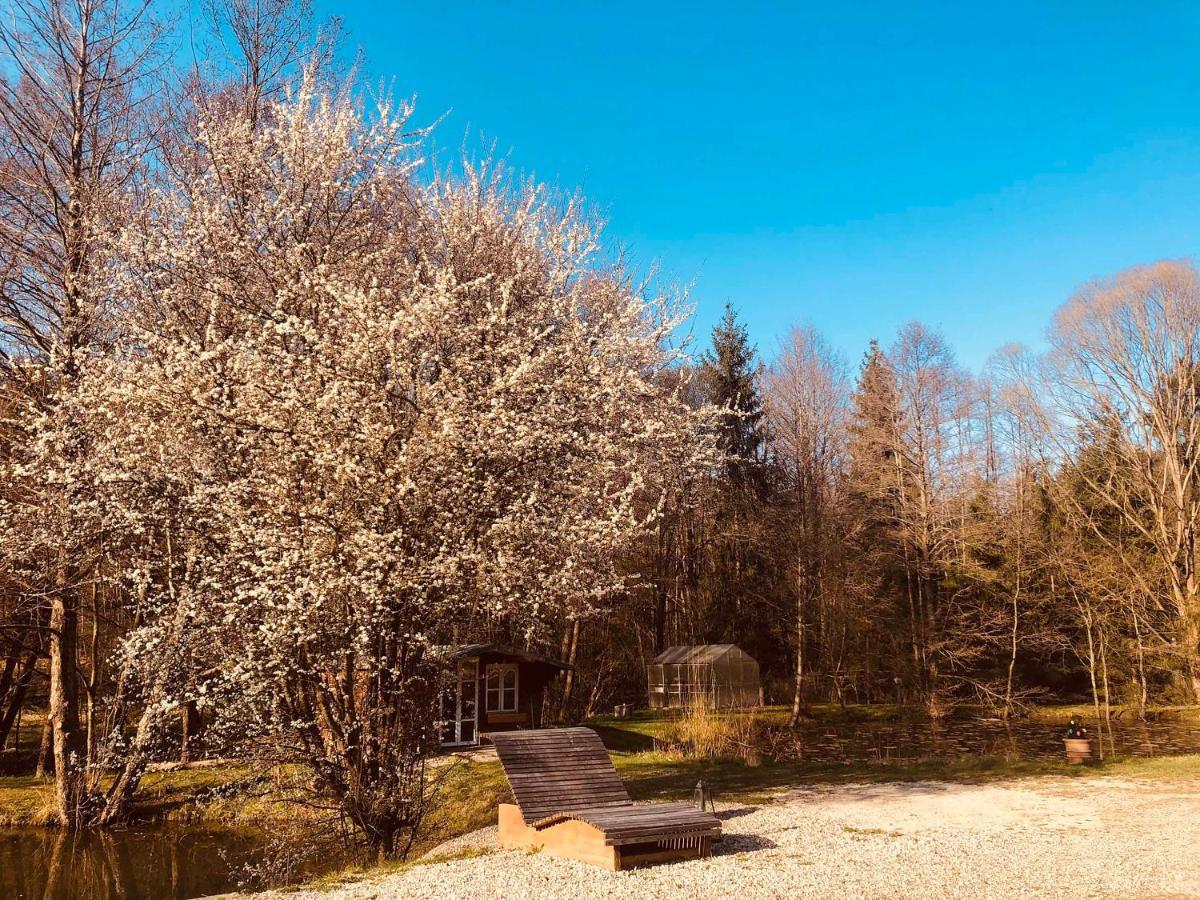 Fischerhaus Burgthann Exteriör bild